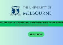 Melbourne International Undergraduate Scholarship at the University of Melbourne